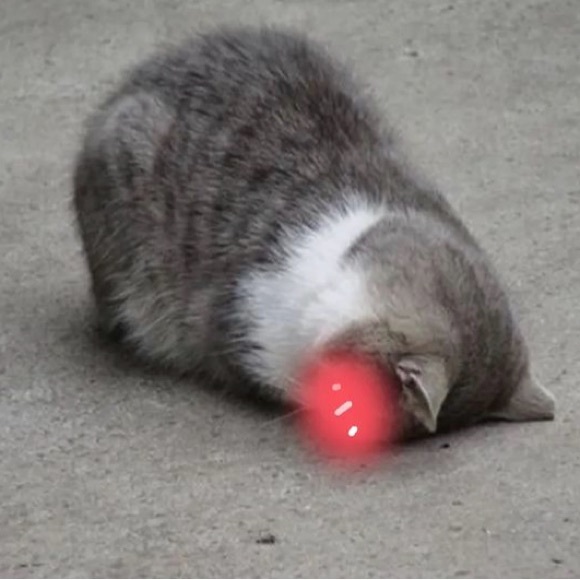 Meet your Posher, Michelle! - Picture 1 of 3